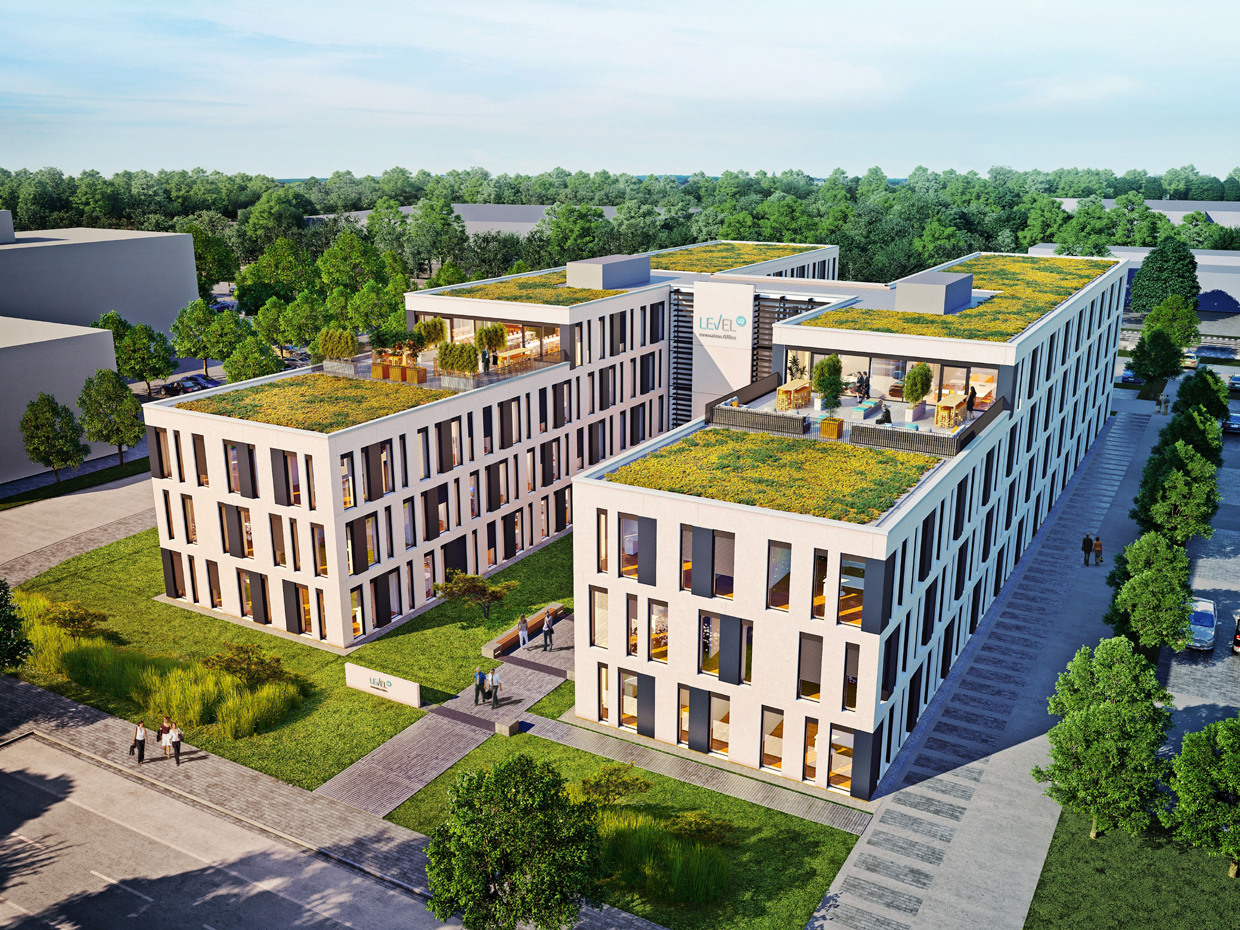 LEV13_got_mg_p2_05_300dpi