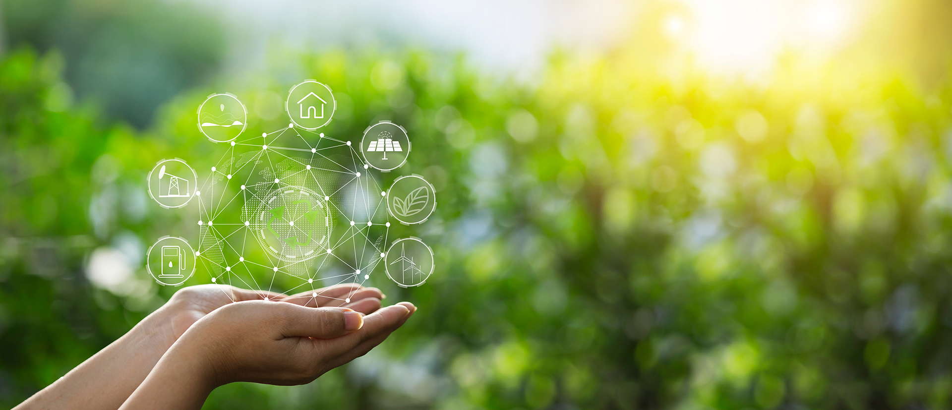 Technology,,Hand,Holding,With,Environment,Icons,Over,The,Network,Connection